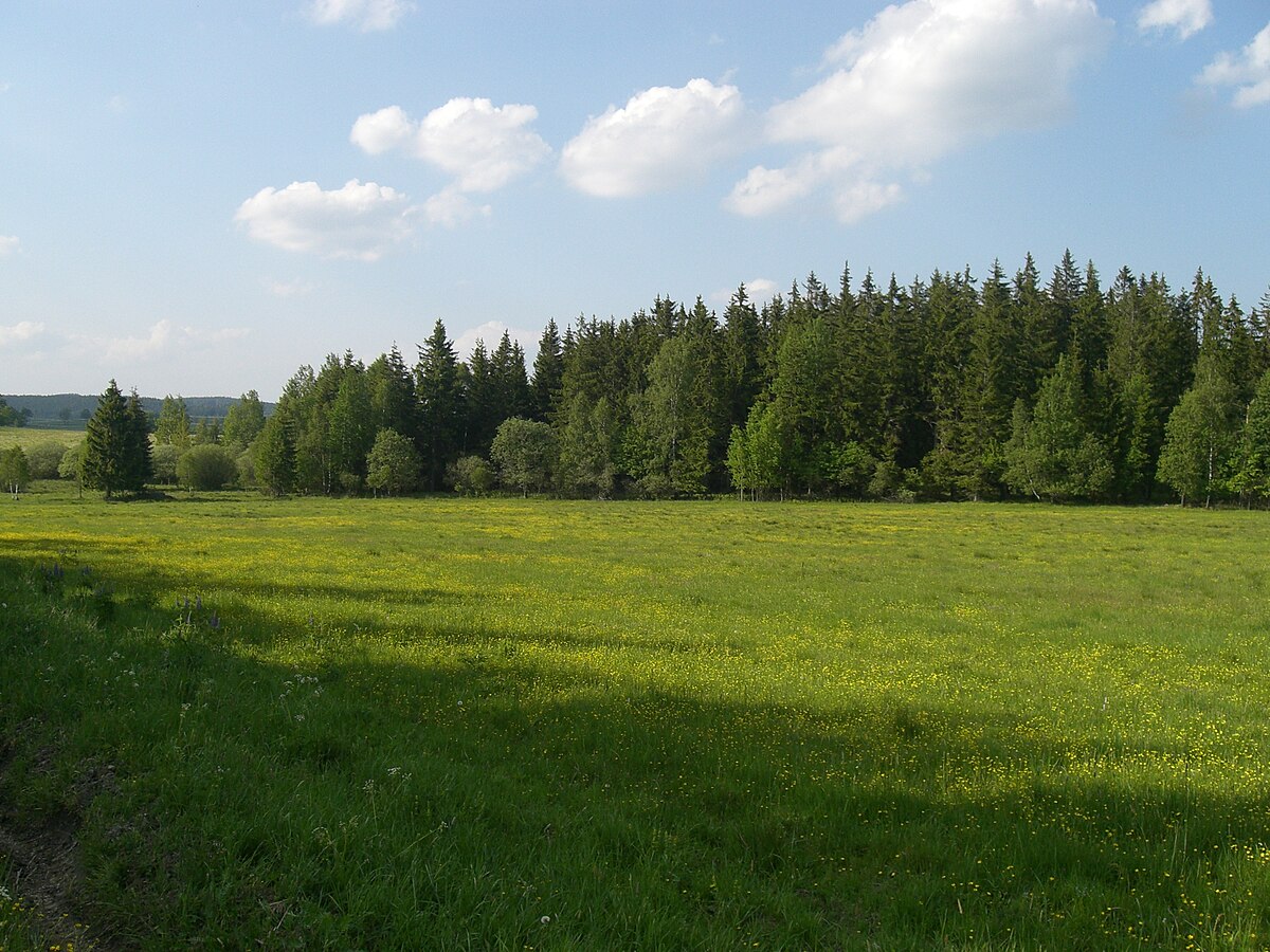 Slavkovský les - Kladské rašeliny