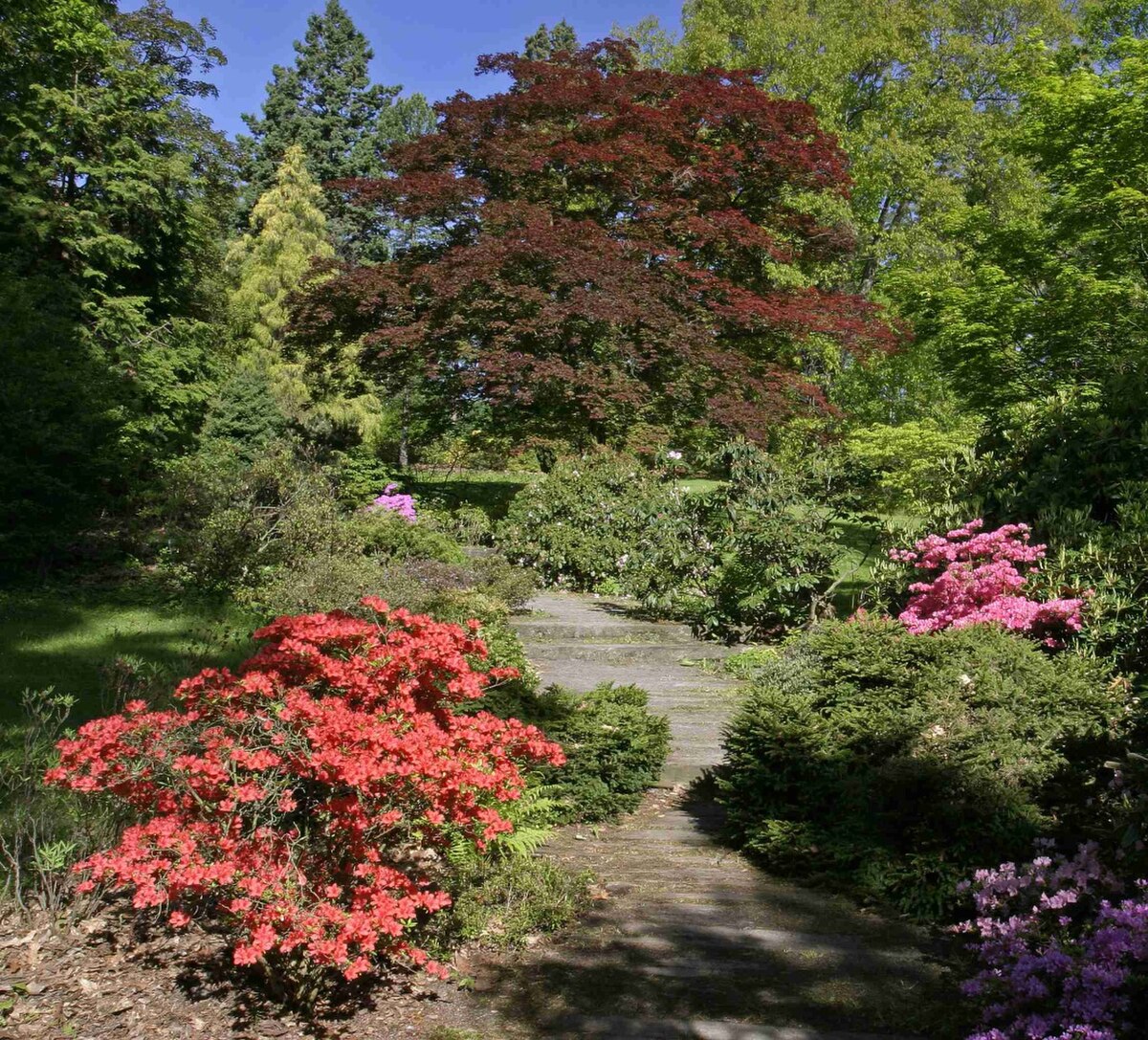 Arboretum Nový Dvůr
