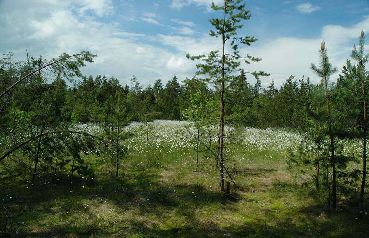 Třeboňsko - Červené blato