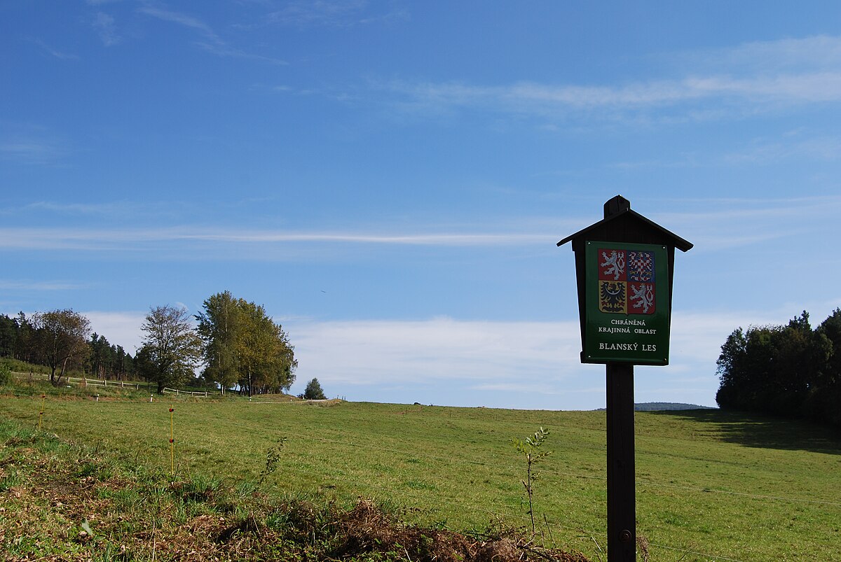 Blanský les