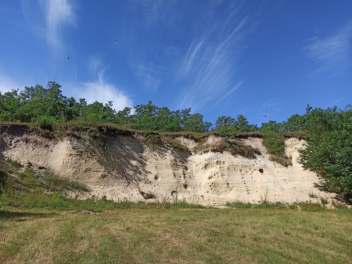 Oleksovické vřesoviště