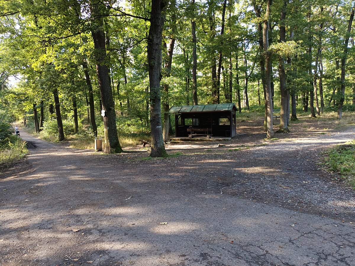 Kunratický les Praha