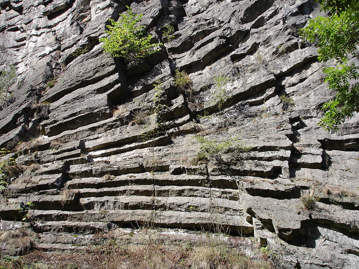Pustý zámek - Fredevald