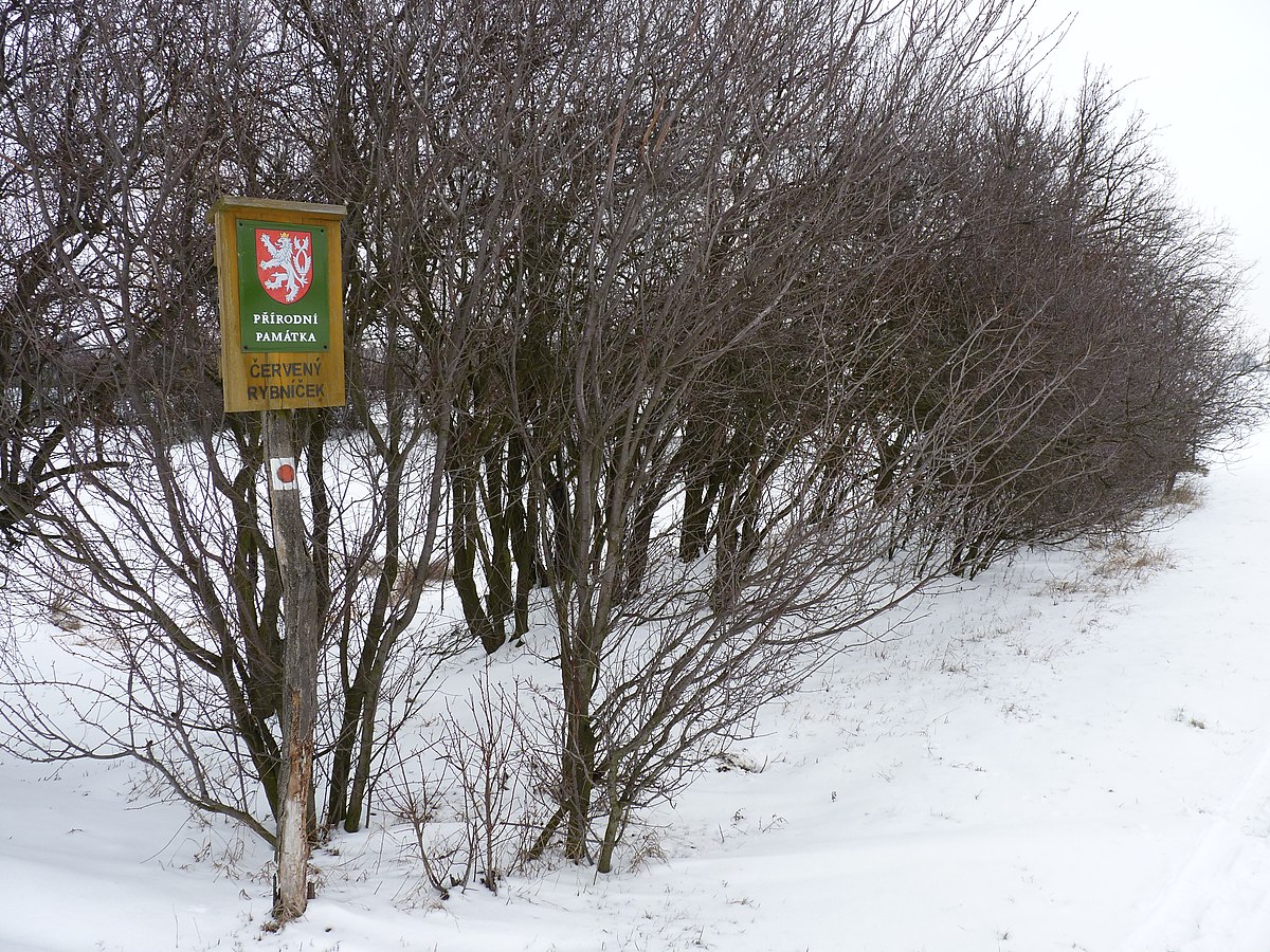 Červený rybníček