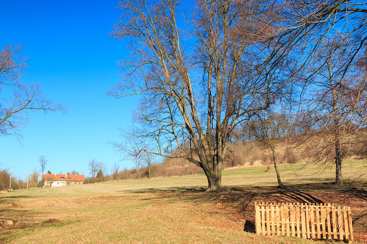 Žižkův stůl - Tvrz Bílý Kůň