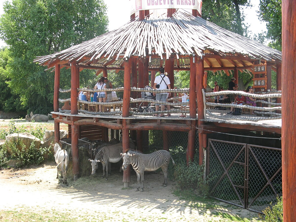 Zoo Dvůr Králové (Safari Park)