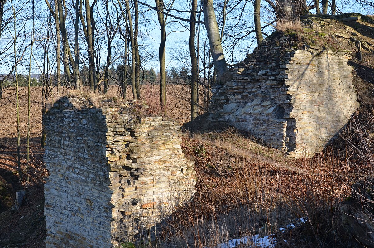 zbytky hradu ?