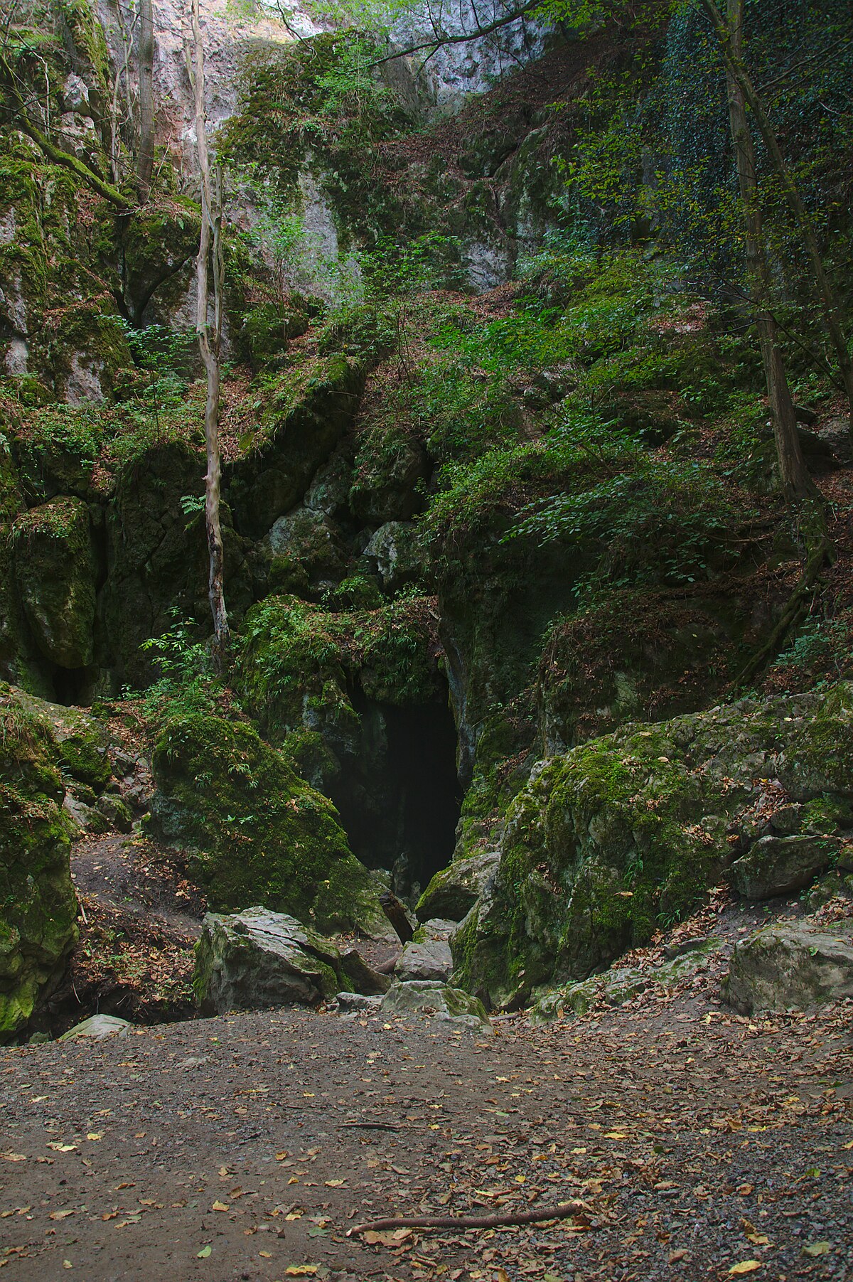 Rudické propadání