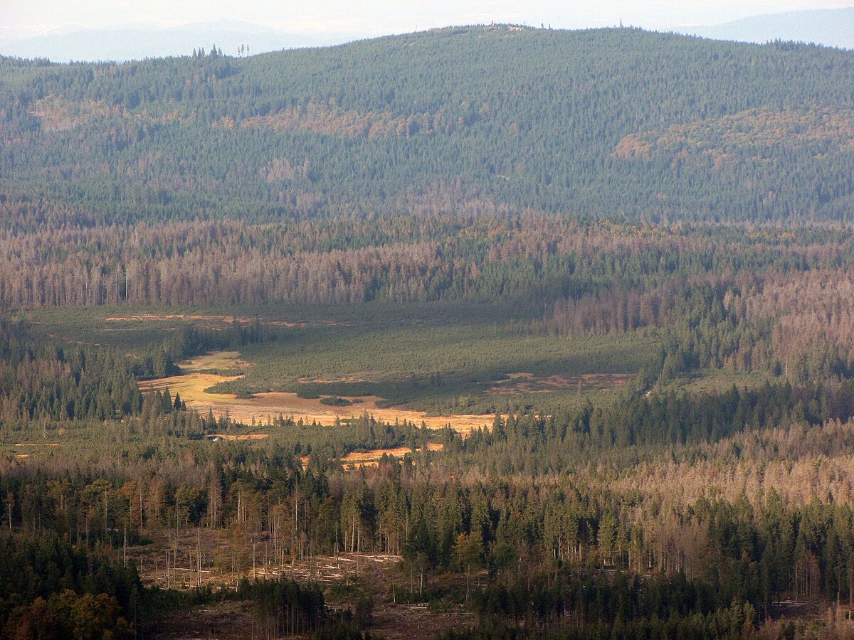 Šumava - Modravské slatě