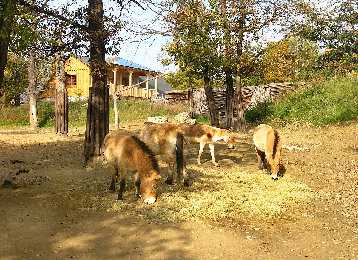 Zoo Brno