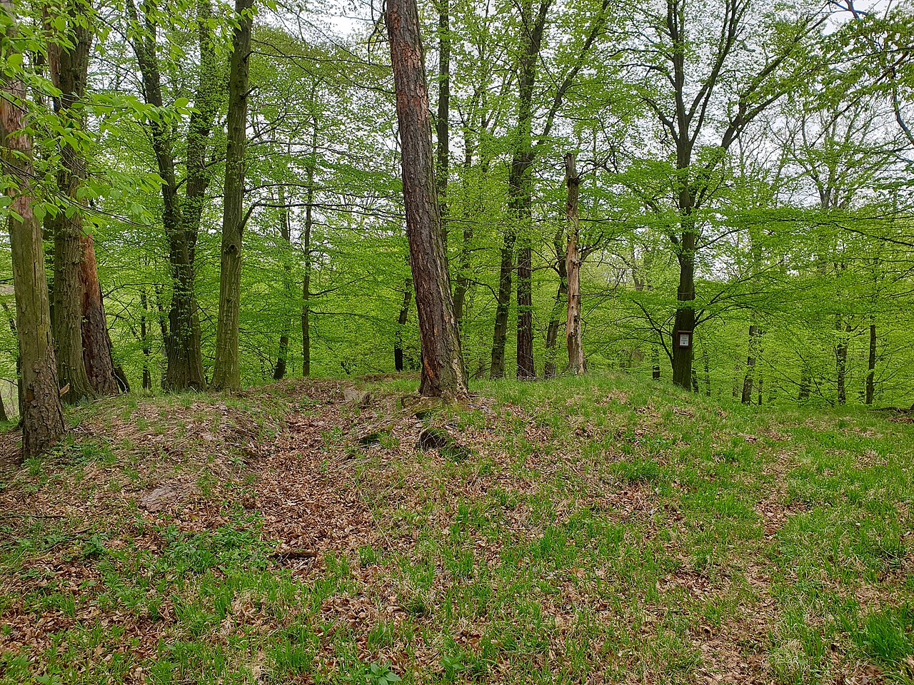 Starý Plumlov
