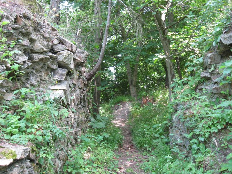 Rychvald