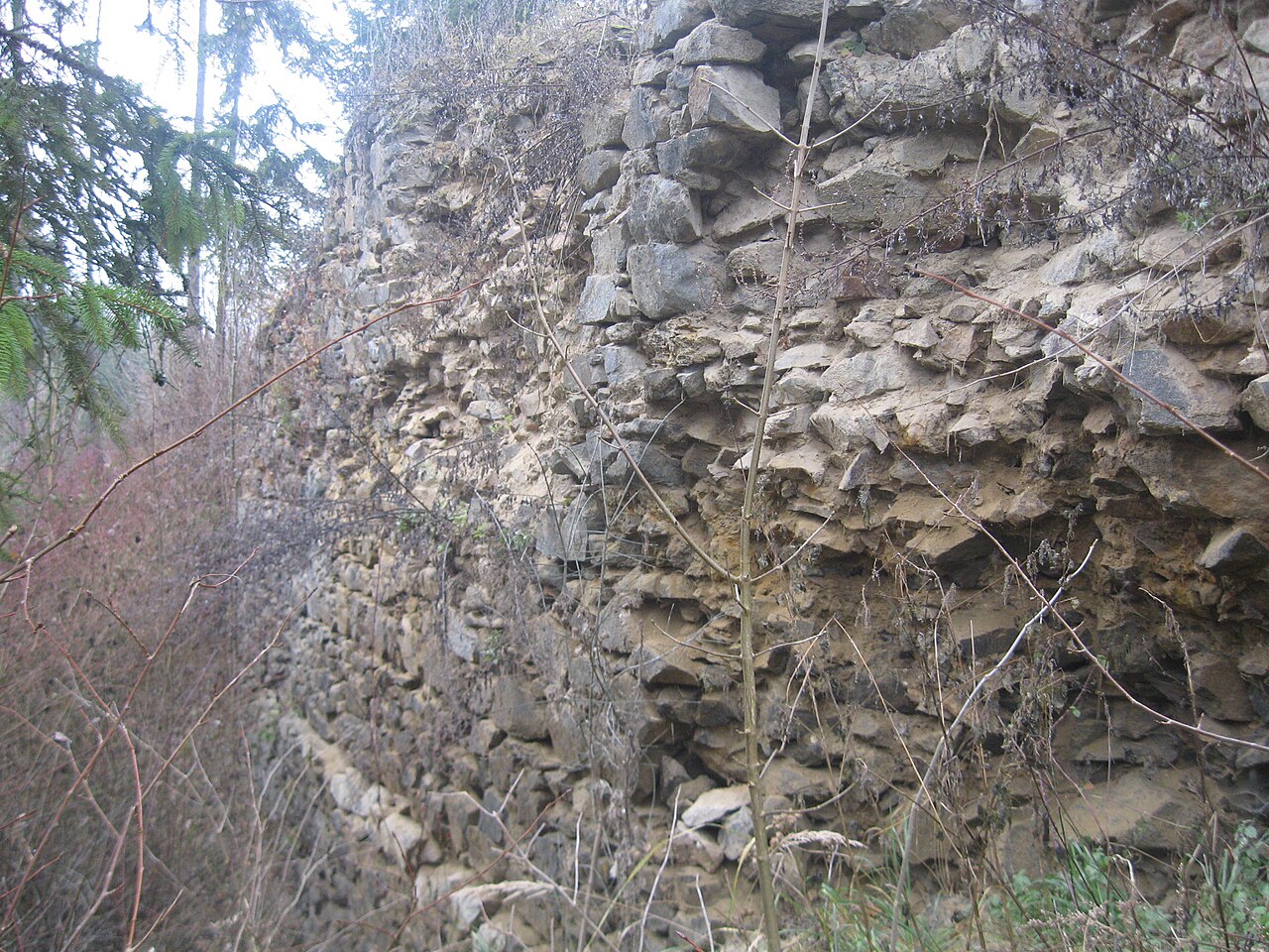 Kožlí