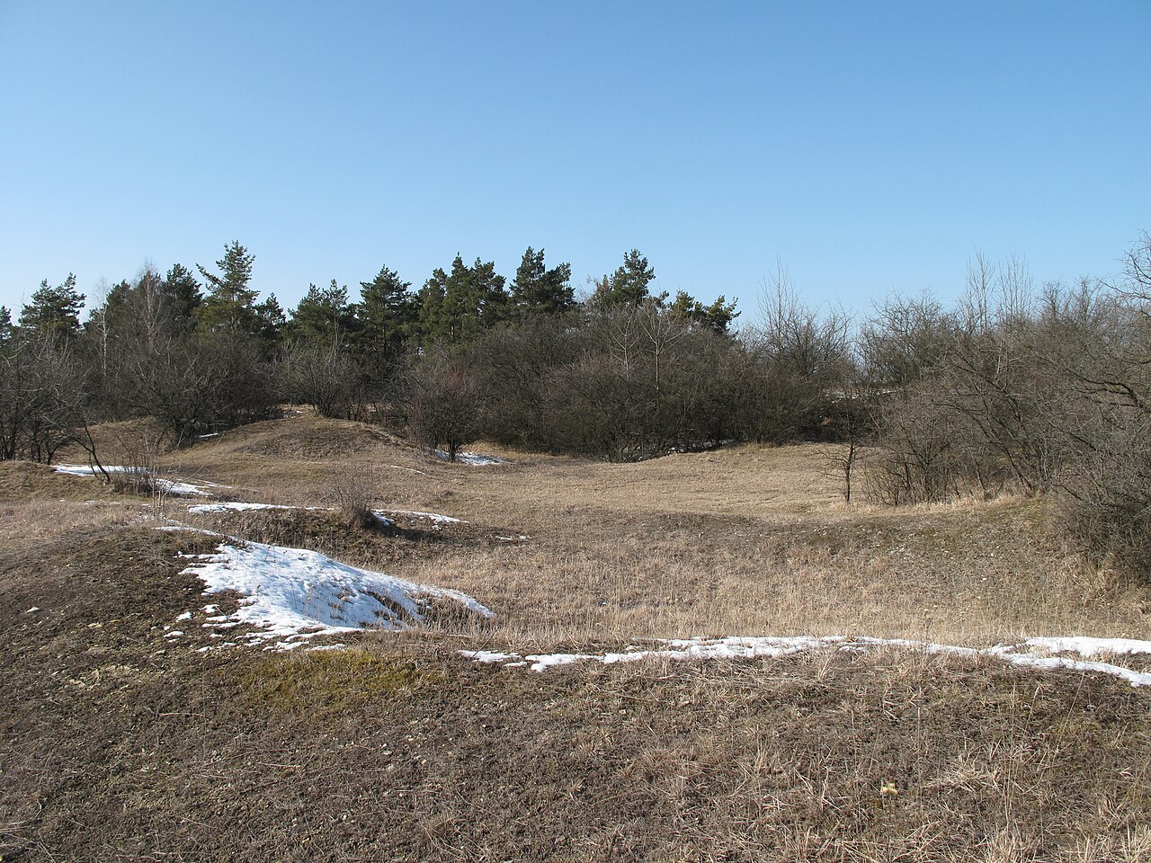 Bohouškova skalka