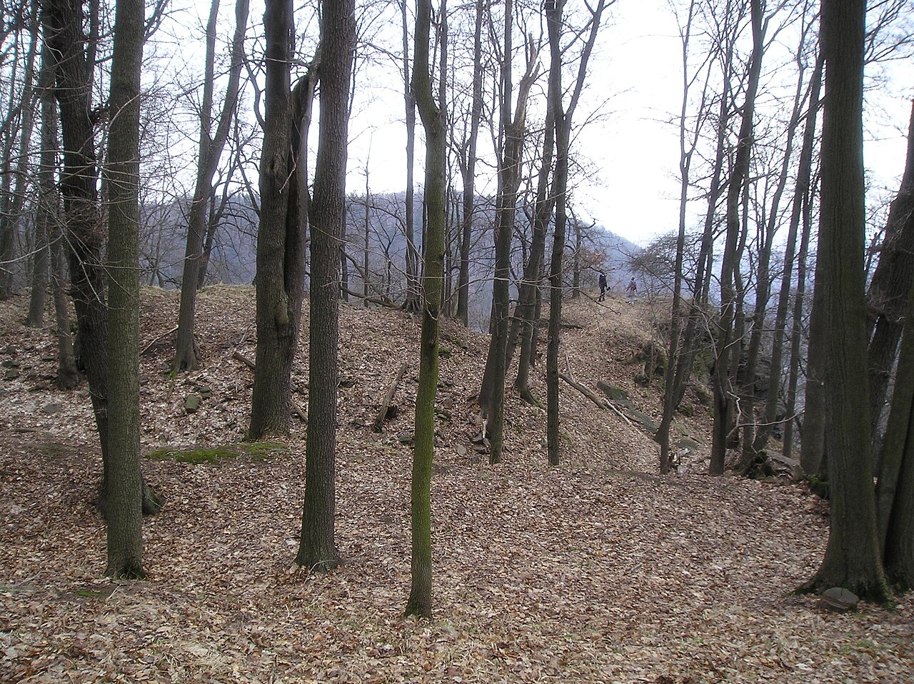 Najštejn