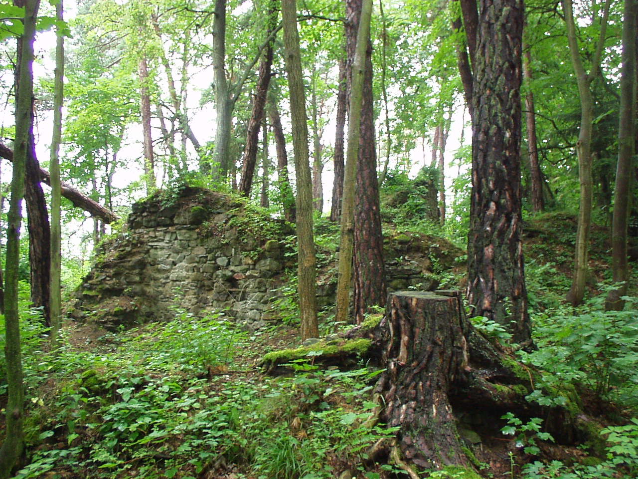 Křikava