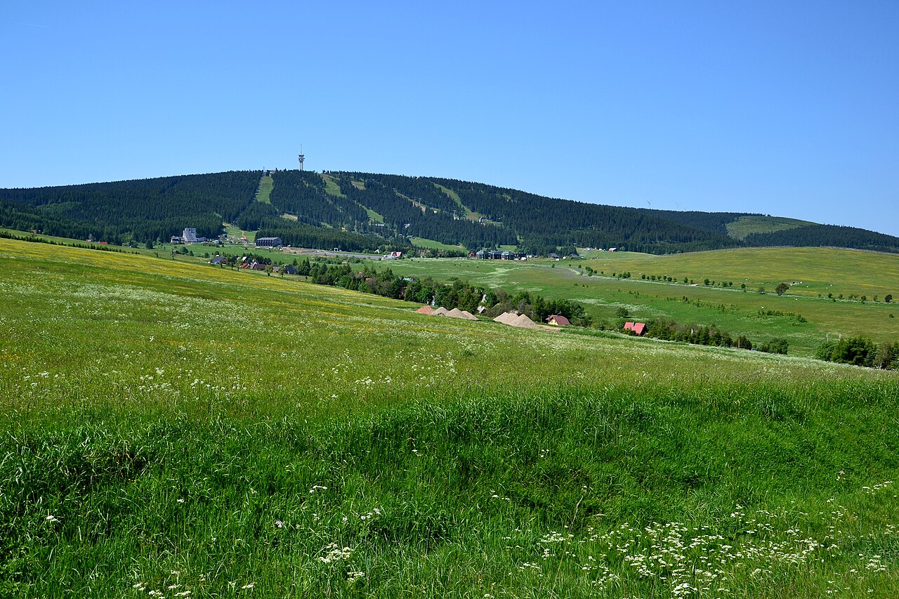 Klínoovec