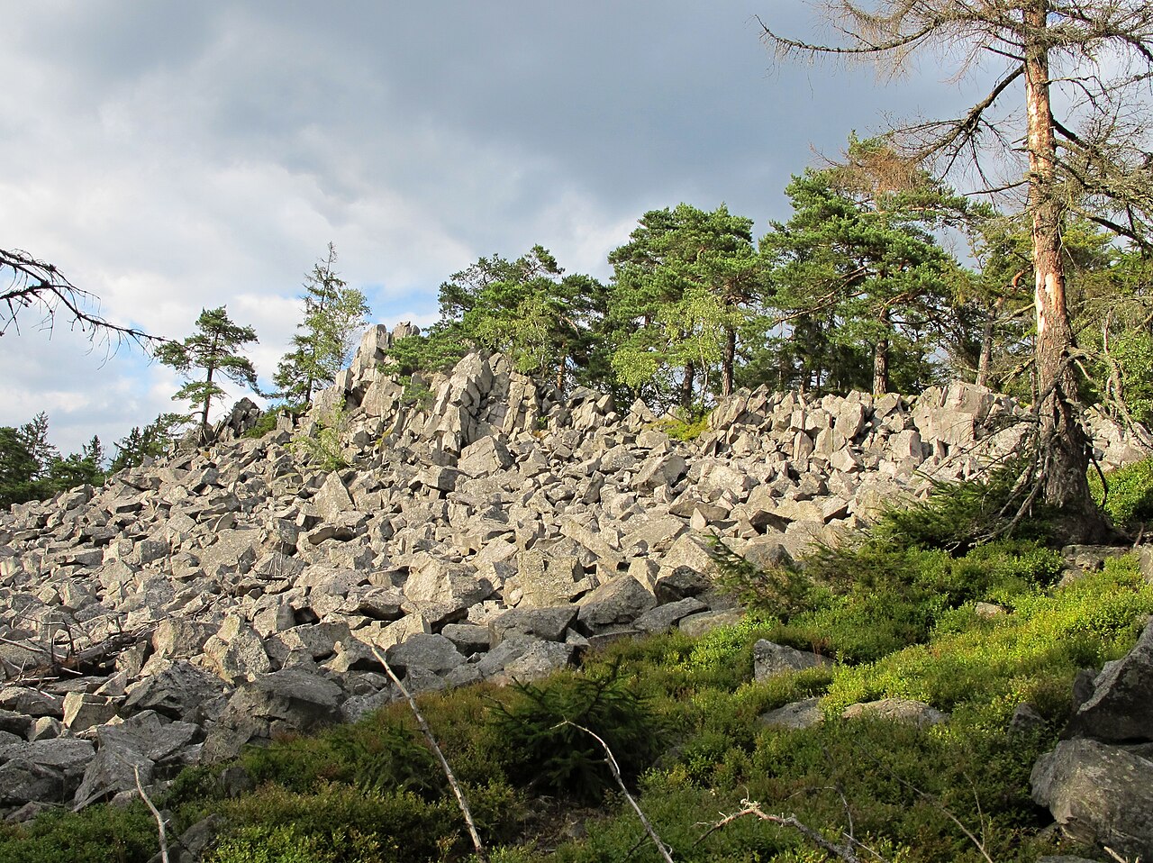 Hřebenec