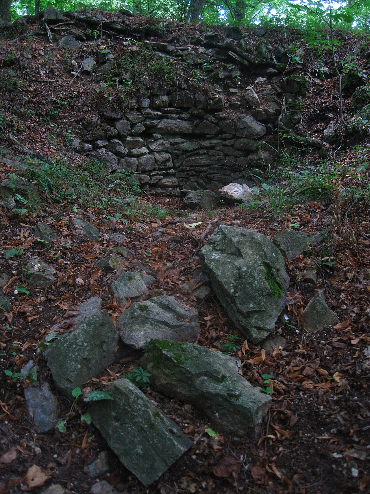 Bukovina