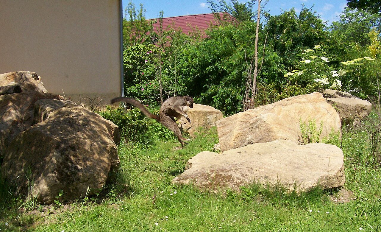 Zoo Plzeň