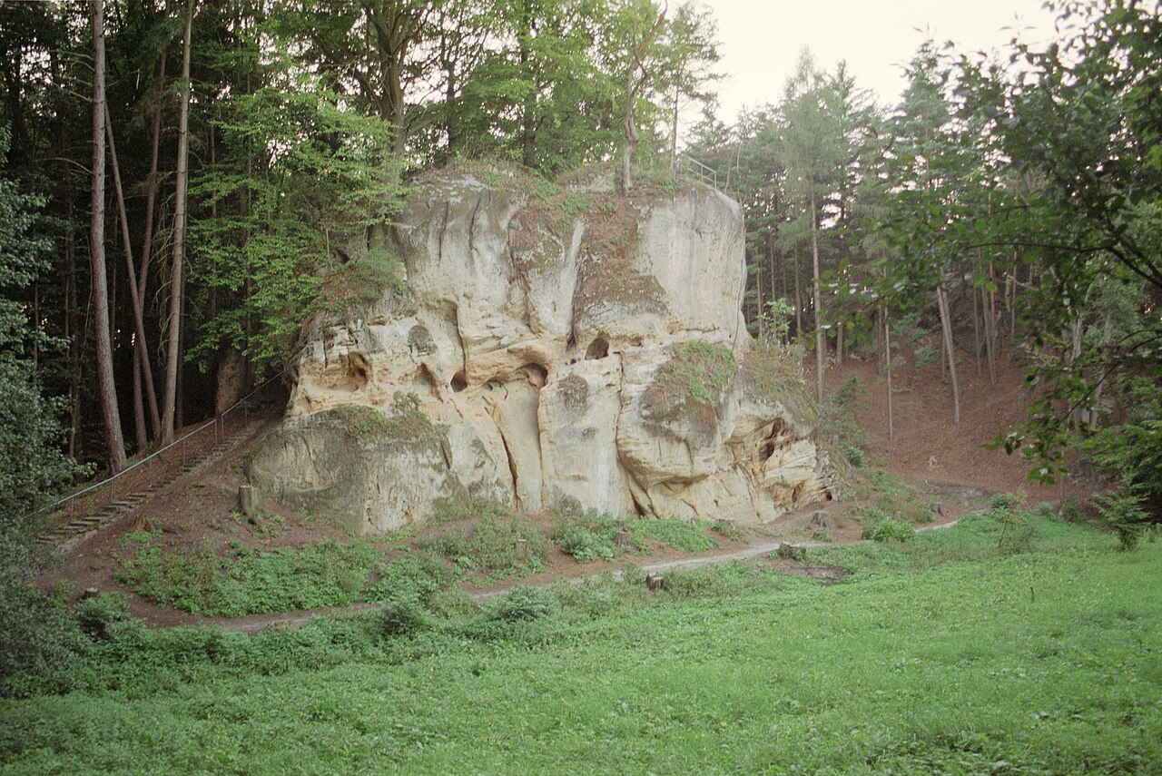 Pařez