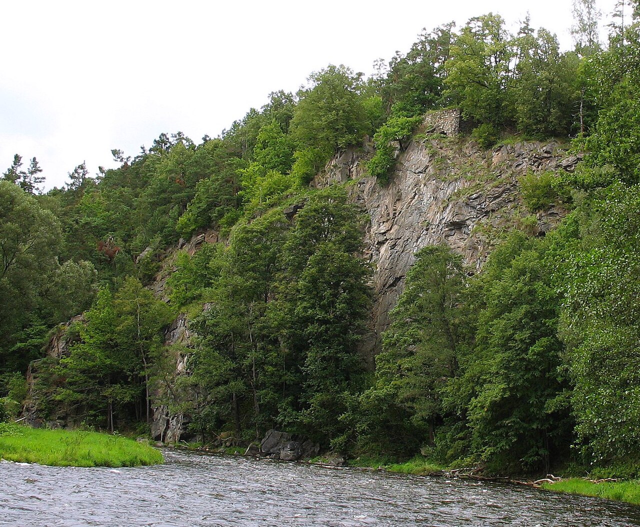 Kotek