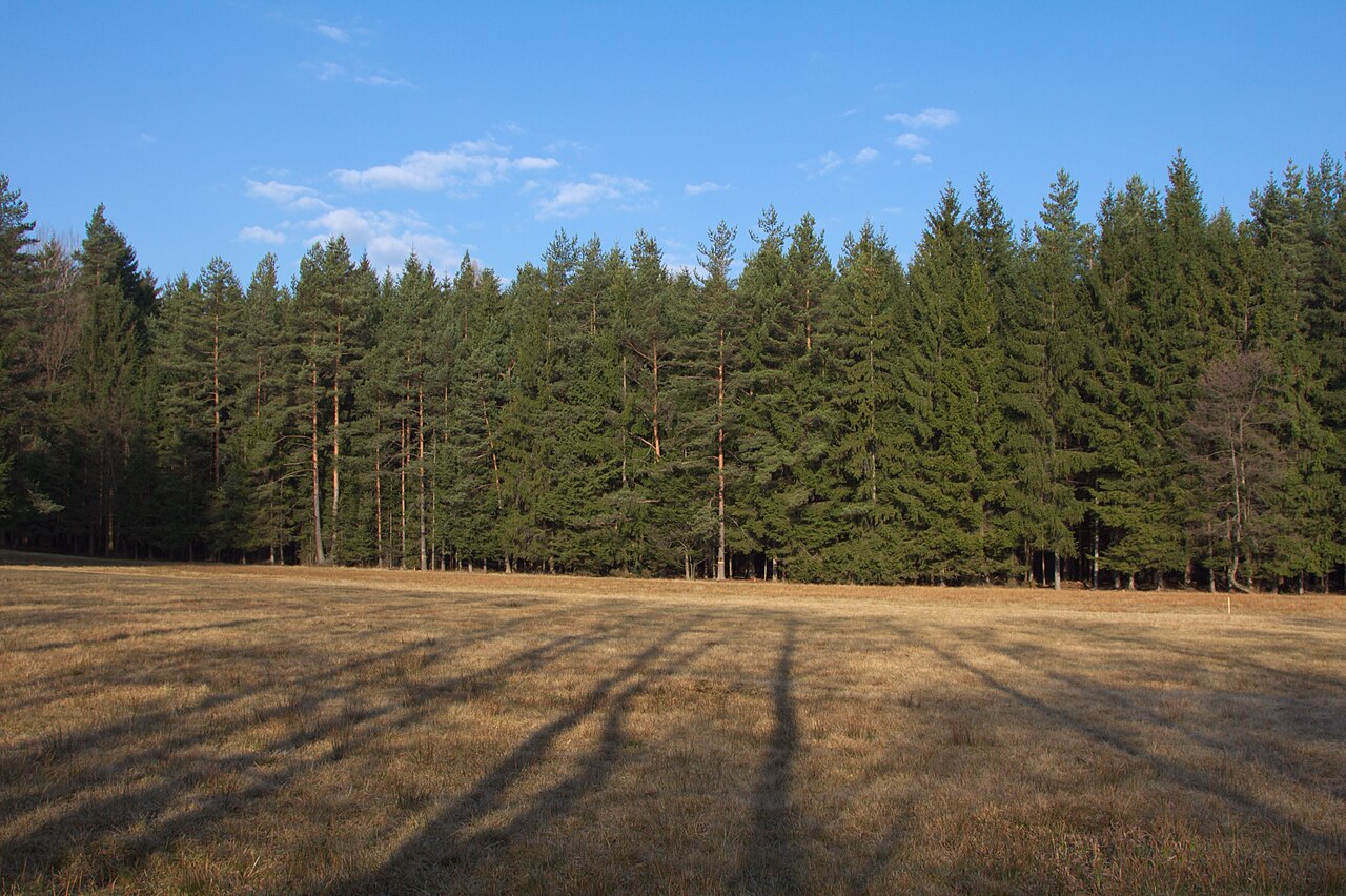 Kaliště