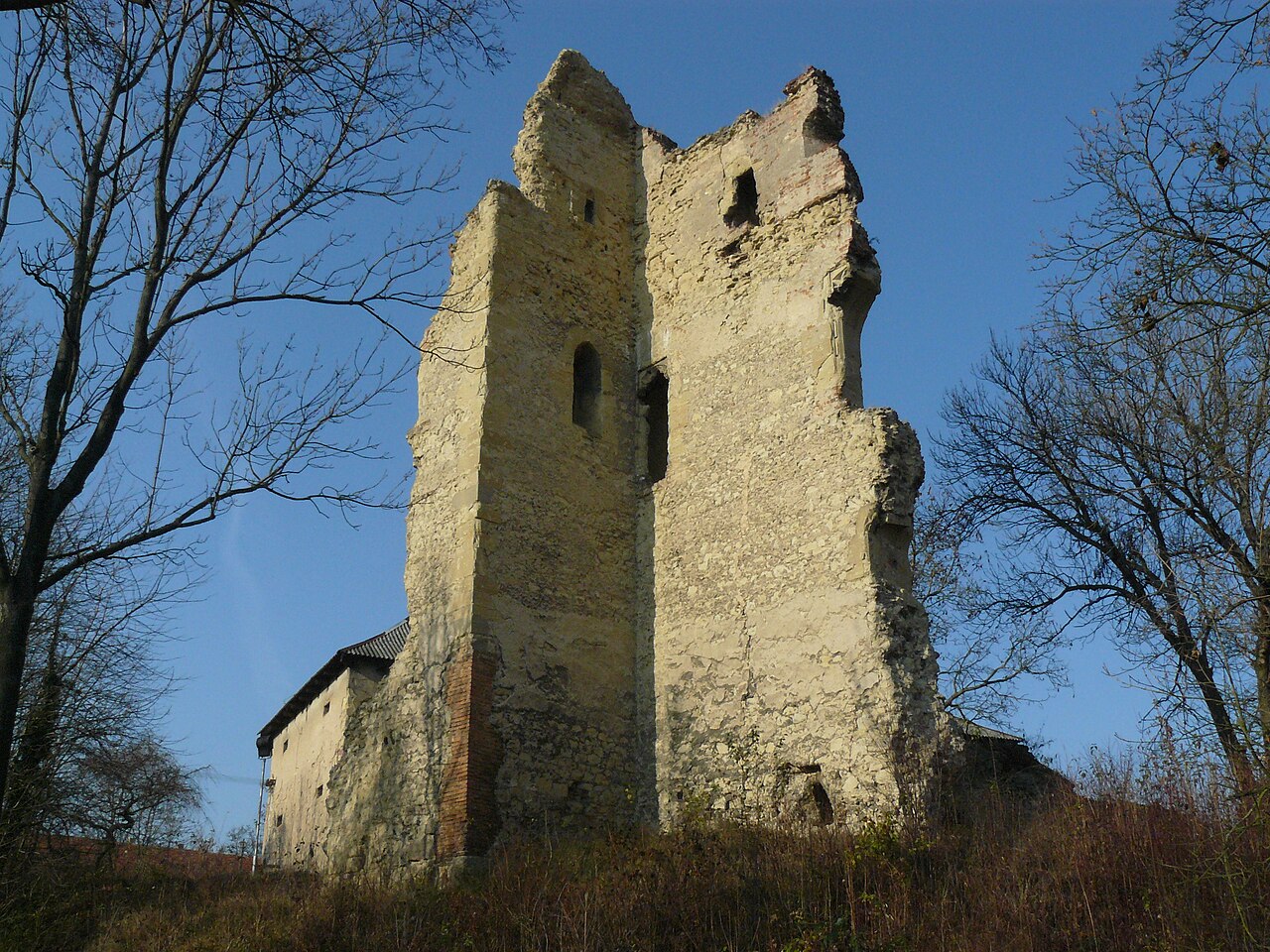 Dražice