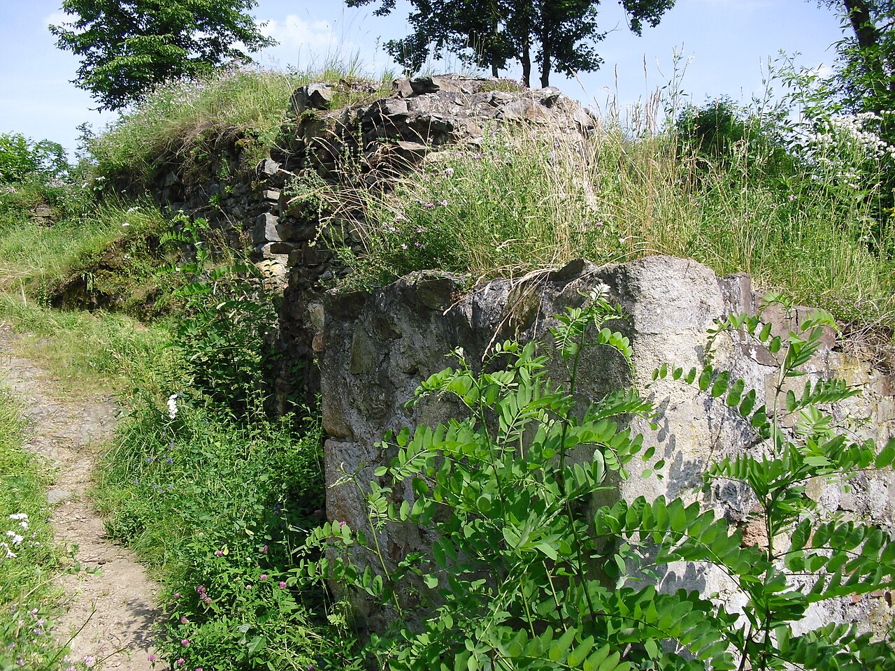 Věžka