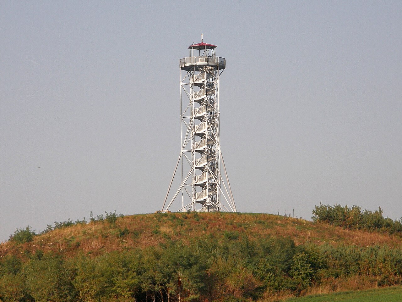 Chocholík