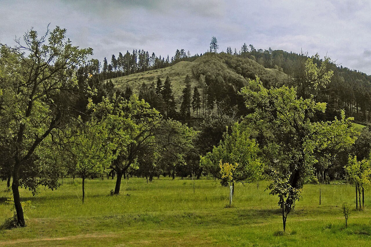 Nový Šaumburk