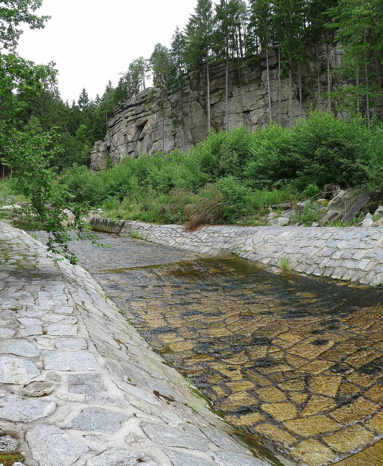 Sokolčí