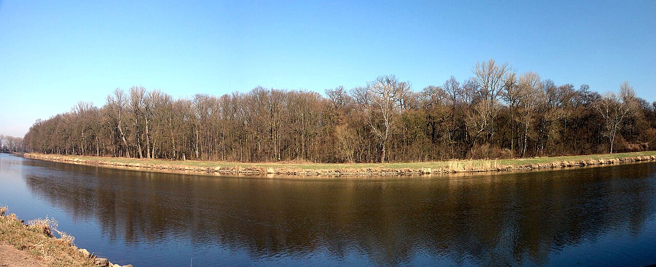 Jiřina