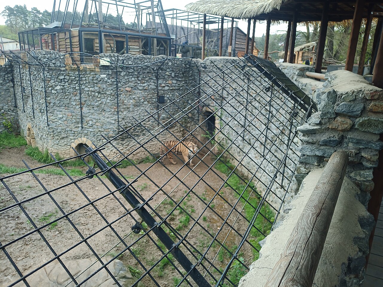 Zoo Plasy